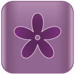 lilac android application logo